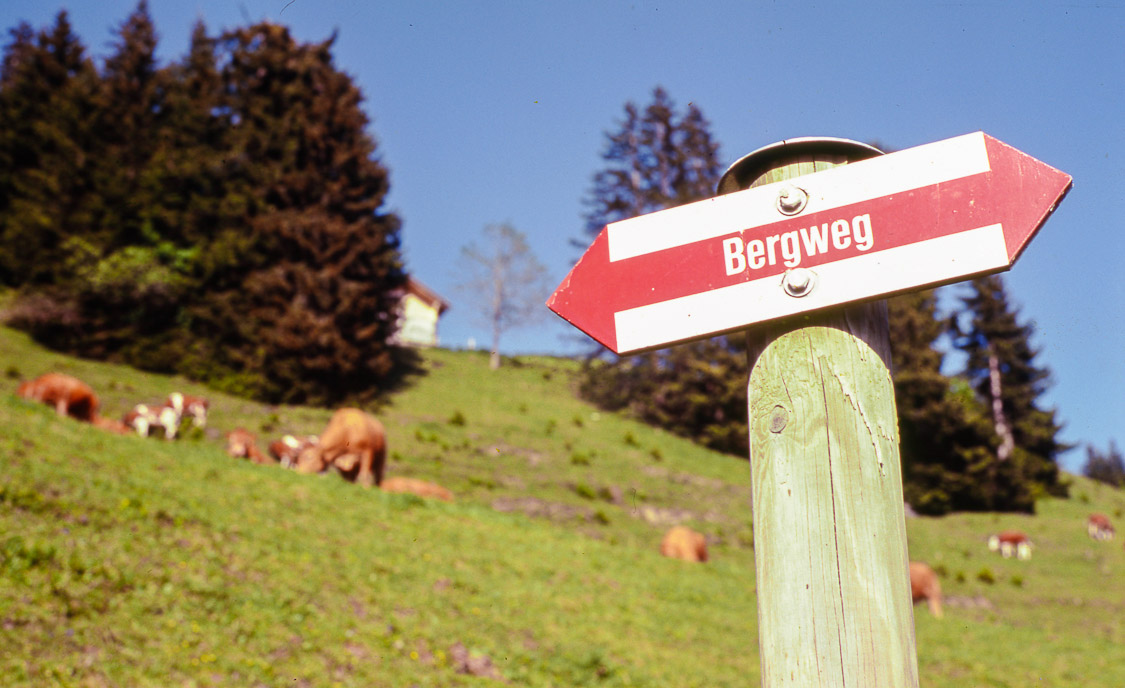 #25 Bergweg