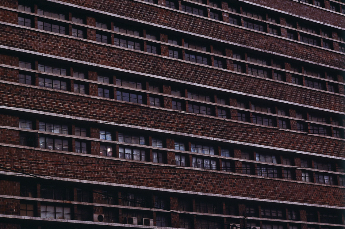 #20 row of windows