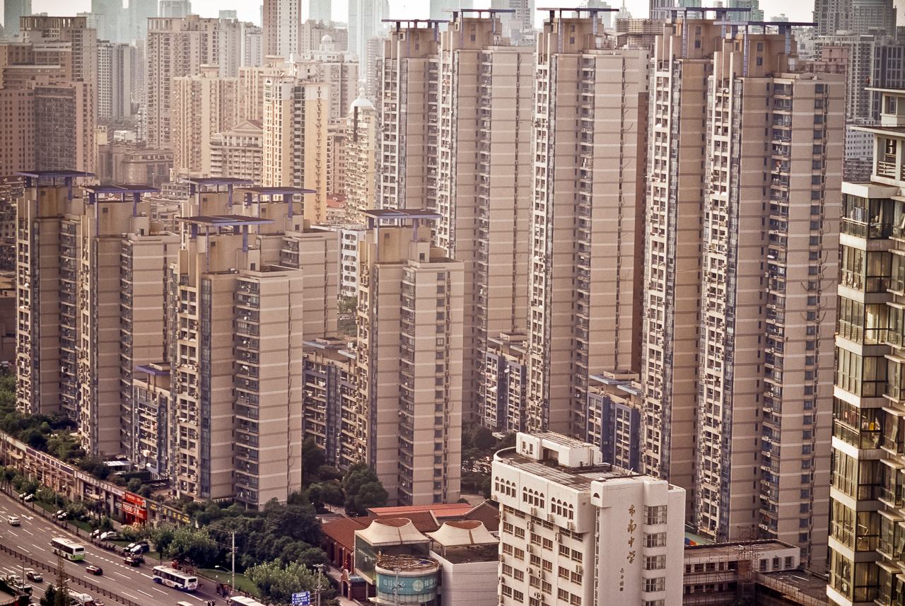 #7 Jungle. Bus to size lower left.