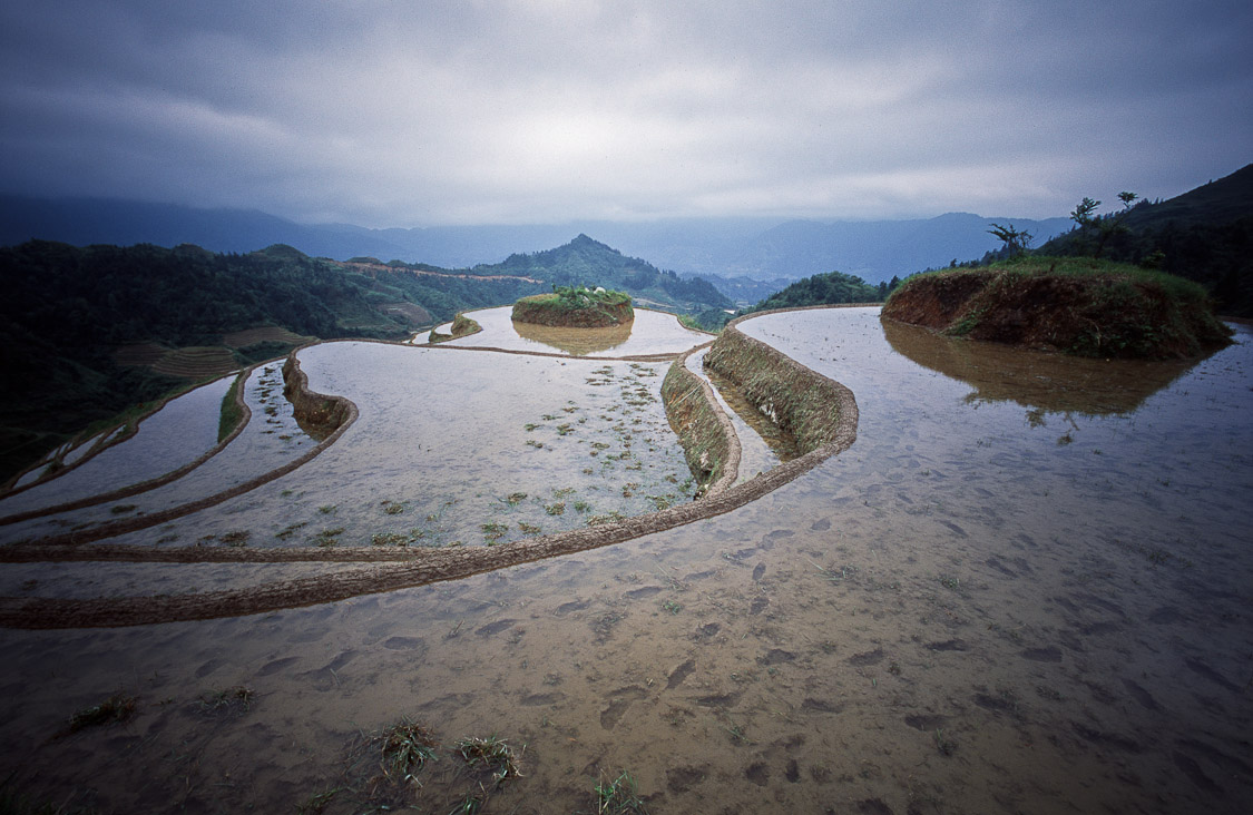 #20 that's where our rice comes from, eventually.