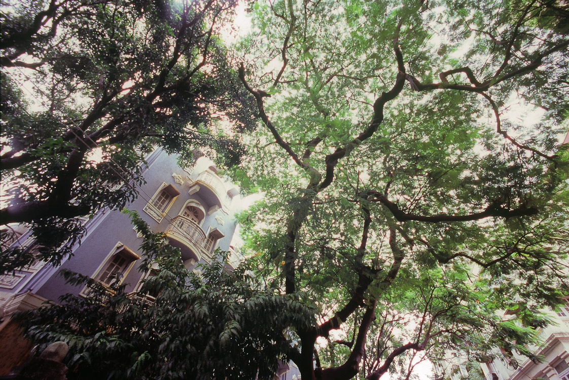 #28 posh houses in the Police Colony, Mumbai