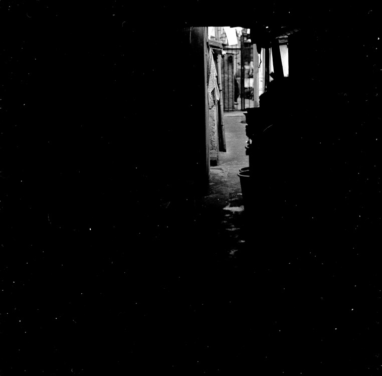 #5 back alley!