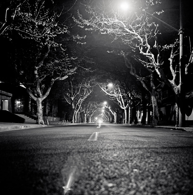 #2 Our road. Wan Ping. Trees. Ace.