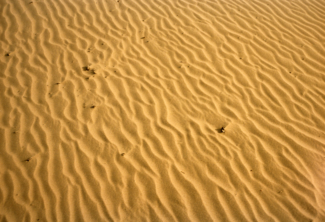 #21 sand dunes!