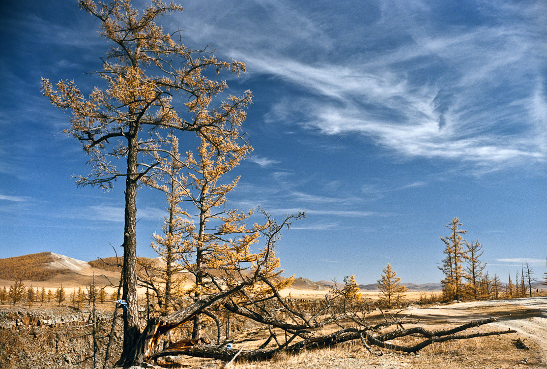 #41 on the way to Terkhiin Tsagaan Nuur (the Great White Lake)