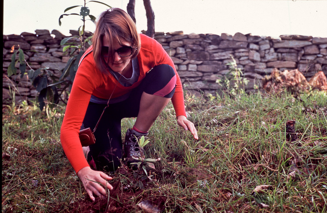 #25 in Nangi village, which is where Roman, Udo and Chitra are from. We got to plant trees. I went for firewood supplies. Maraika is going ro Rhododendrons.