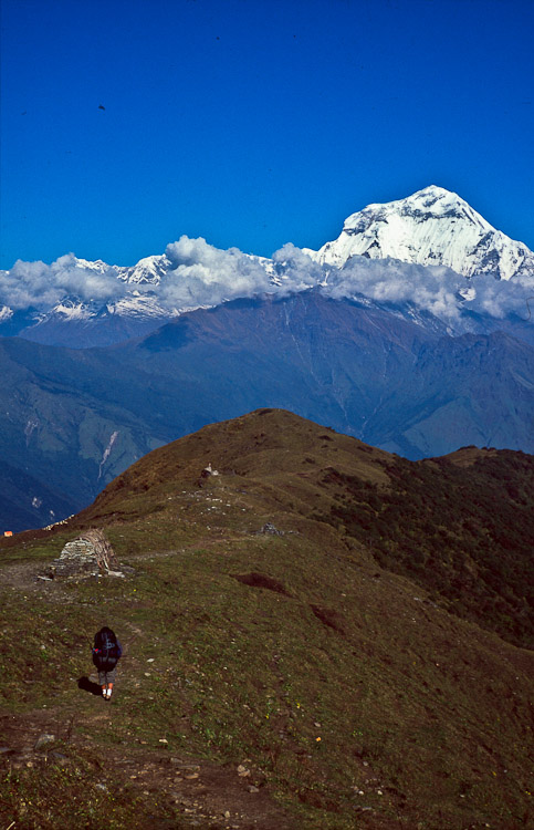 #48 poor Udo at it again.