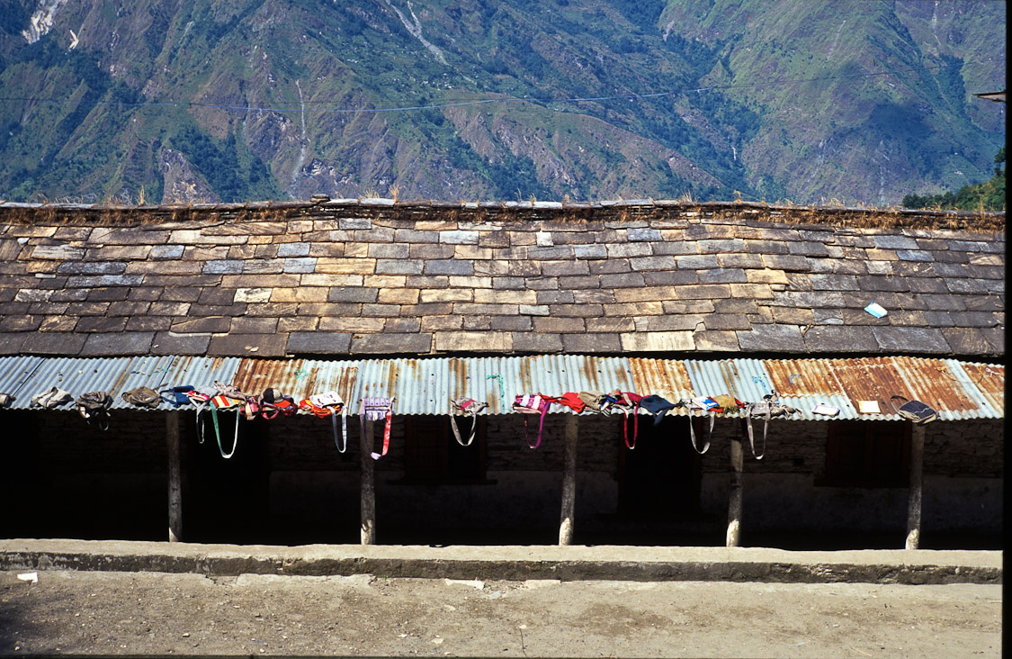 #51 schoolbags in Paudwar.