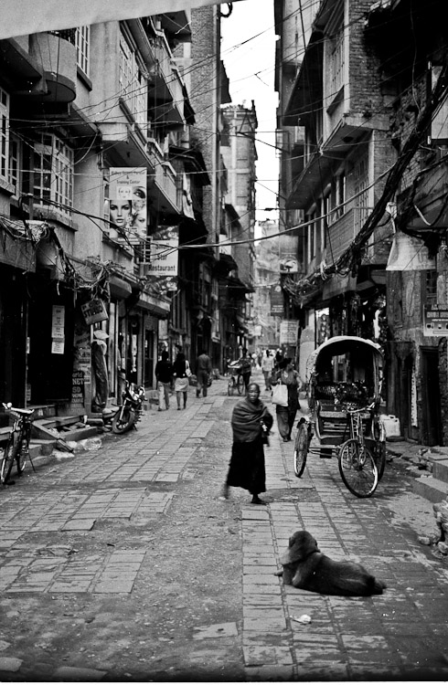 #10 Kathmandu Alley - including dog.