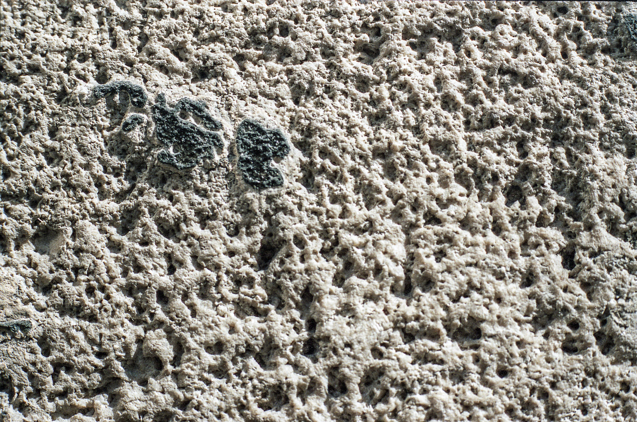 #38 last photo - brickwork REALLY up close.