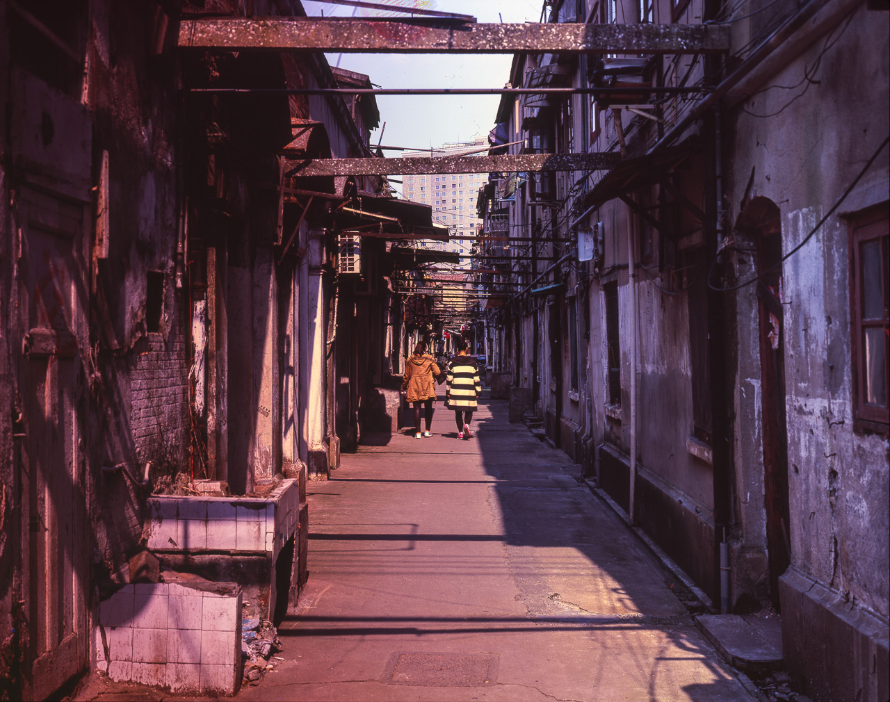 #43 Dear me I love alleys. Especially in good light, like that Saturday when i tried walking again after drinking too much. This is the area close to the Natural History Museum.