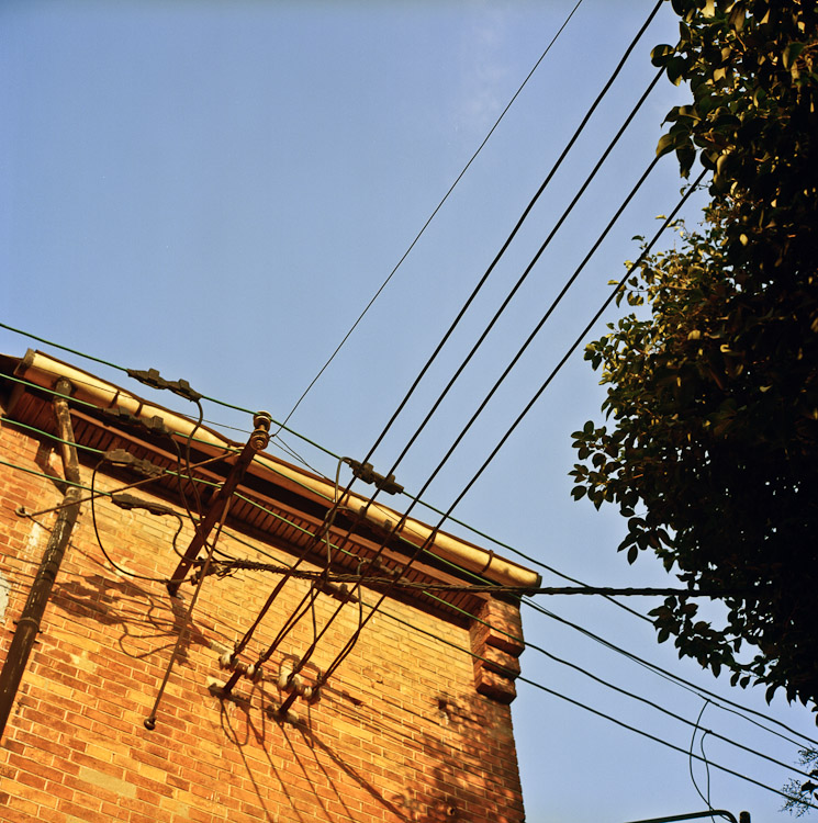 #12 lines